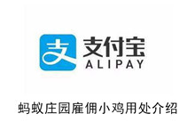 《蚂蚁庄园》雇佣小鸡用处介绍