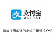 《蚂蚁庄园》雇佣的小鸡下蛋情况介绍