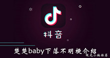 《抖音》楚楚baby下落不明梗介绍