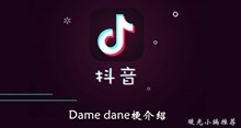《抖音》Dame dane梗介绍