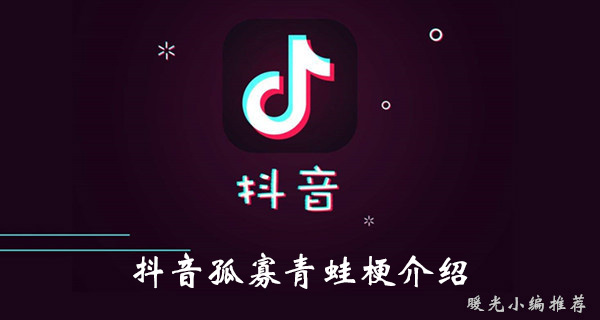 《抖音》孤寡青蛙梗介绍