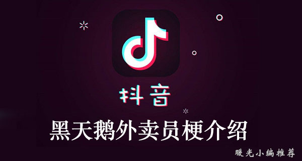 《抖音》黑天鹅外卖员介绍