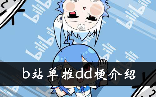 《b站》单推dd梗介绍