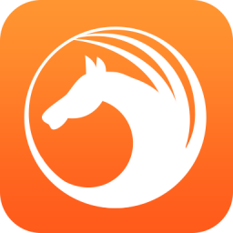 天马浏览器手机版下载