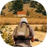 沙漠雄鹰安卓下载