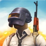 闪电突袭小队安卓下载