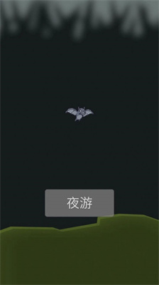 小蝙蝠夜游记最新版本下载